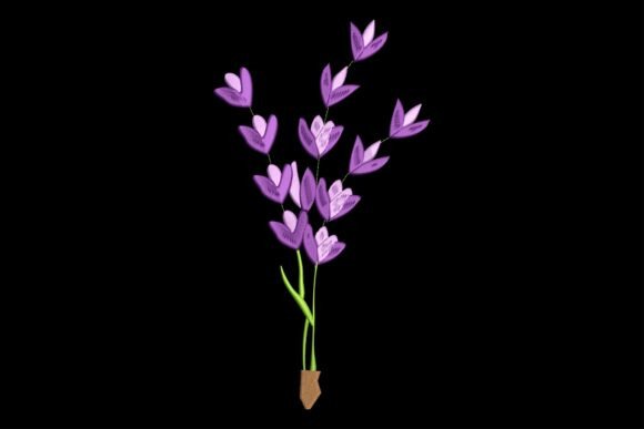 Beautiful Lavender Flower
